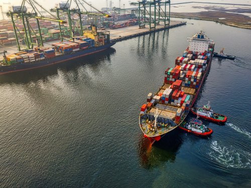 Cómo probar la IA en exportación de aguacate antes de usarla