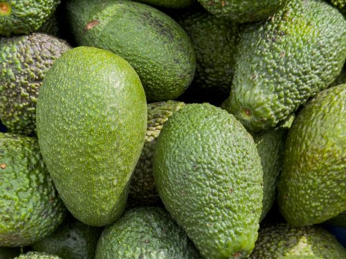 Aguacate peruano en Malasia y Filipinas: del acceso a los embarques