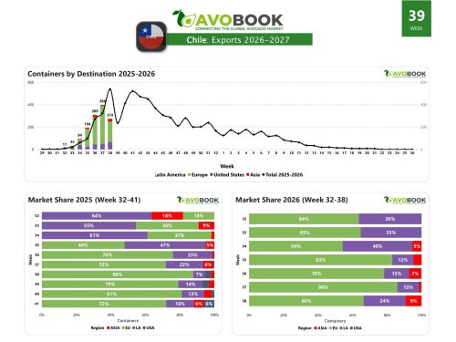 Chilean exports slow down due to holiday period