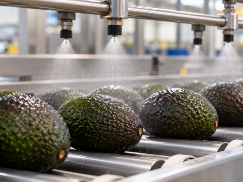Coatings in Hass avocados: advances and limitations