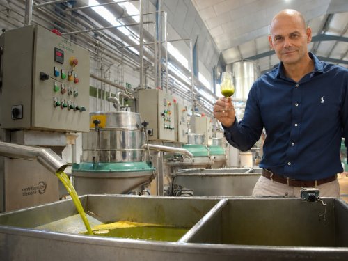 Avocado oil can provide valuable data to the fresh food sector