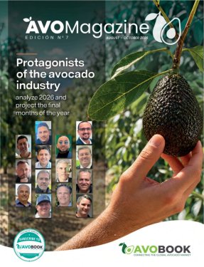 AvoMagazine 7ª Edición
