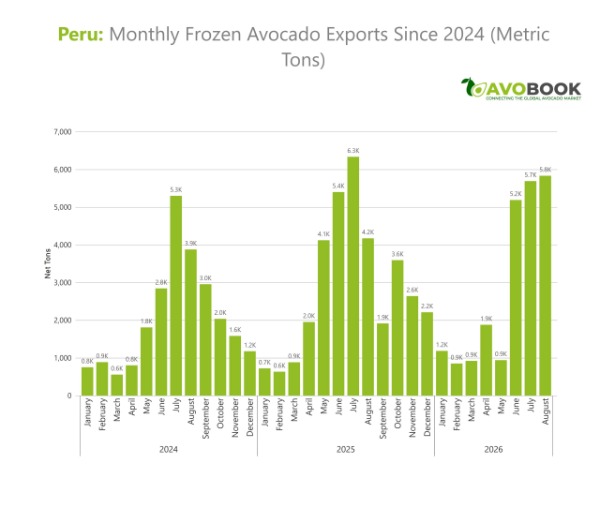 Gráfico de barras de los envíos mensuales en toneladas métricas de aguacate congelado desde Perú entre 2024 y 2026.