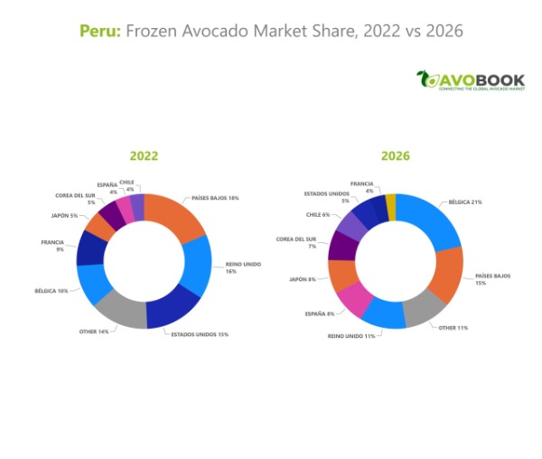 Gráfico de dona sobre la participación de mercado del aguacate congelado peruano por países de destino entre 2022 y 2026.