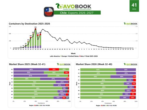Chile despacha 400 embarques y sostiene su presencia internacional
