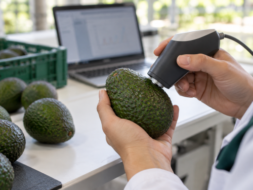 Sensores e IA para clasificar la madurez del aguacate