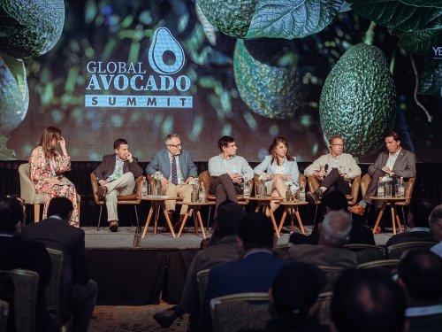 Producir más y mejor: los desafíos del Global Avocado Summit