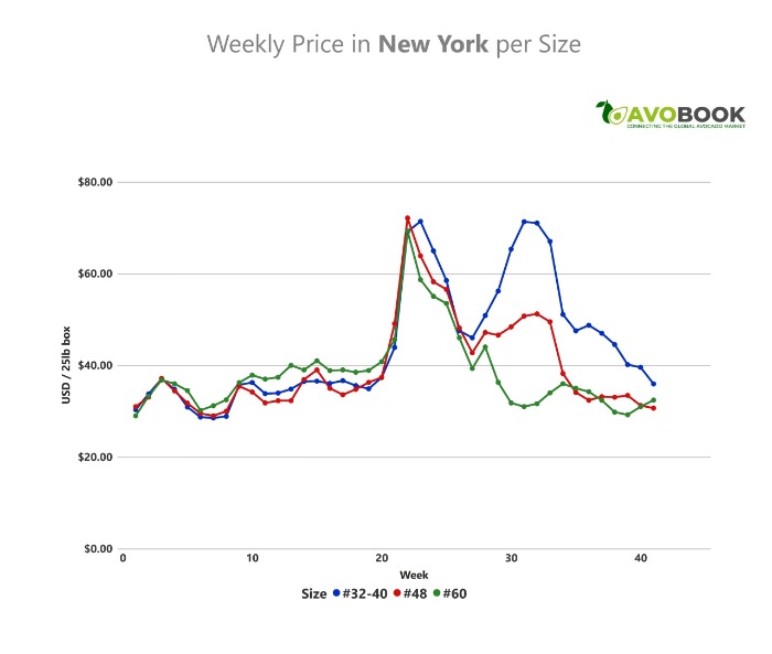 Gráfico de línea que muestra la evolución semanal de precios del aguacate en Nueva York según los calibres 32-40, 48 y 60.