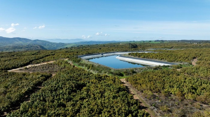 Vista aérea de un gran tranque de acumulación de agua rodeado de hectáreas de paltos en Valle Leyda.