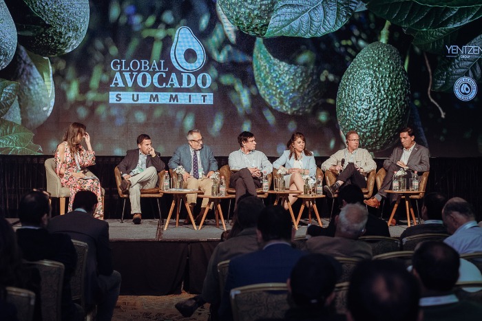 Panel de expertos exponiendo en el escenario del Global Avocado Summit 2024 sobre una pantalla gigante.