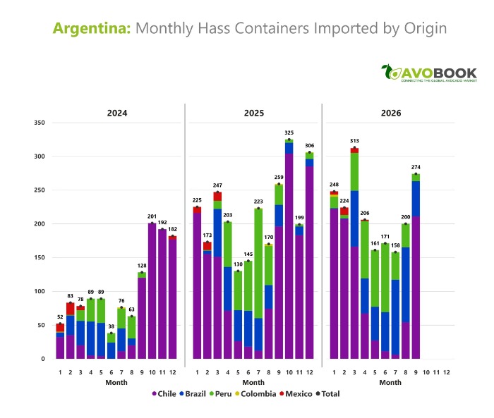 Gráfico de barras que muestra los contenedores de palta Hass importados por Argentina según origen entre 2024 y 2026.