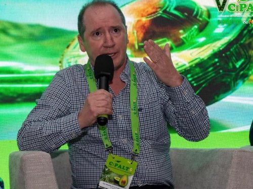 AvoData Empresas: datos y asesoría para decidir informado