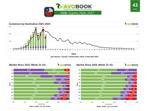 Chile ajusta sus despachos con foco en la diversificación
