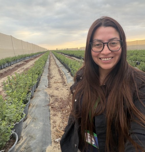 Sara Lynn Álvarez en un recorrido técnico de campo entre hileras de plantas y cultivo agrícola. 